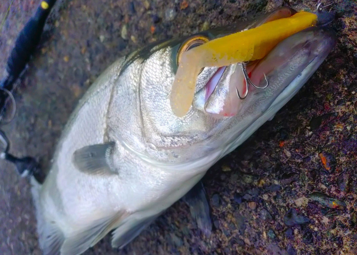 STRIVE SHAD イエロー&クリアー/ゴールドラメ