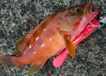 STRIVE SHAD　ピンク＆ホワイトグロー