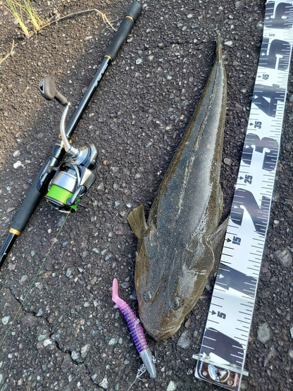 🆕STRIVE SHAD　さくらえび(UV)