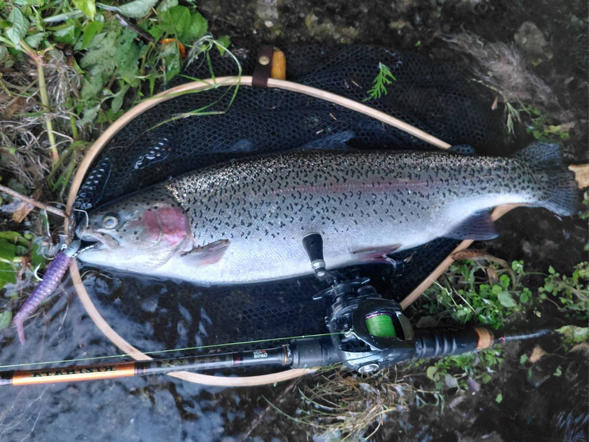 🆕STRIVE SHAD　さくらえび(UV)